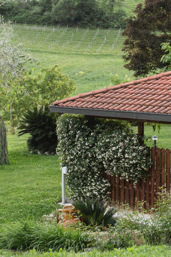 foto scorcio casa con piante e tetto